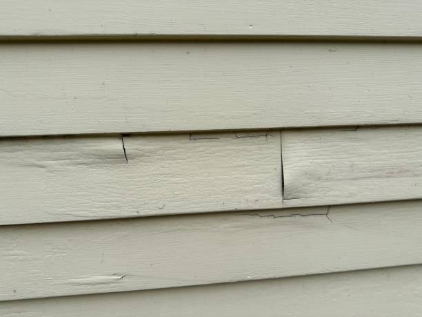 Best Steel Siding Installation  in Hanceville, AL